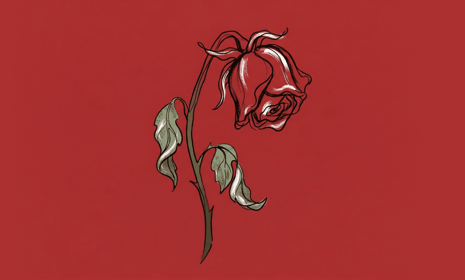 Une rose fanée sur fond rouge (Illustration)